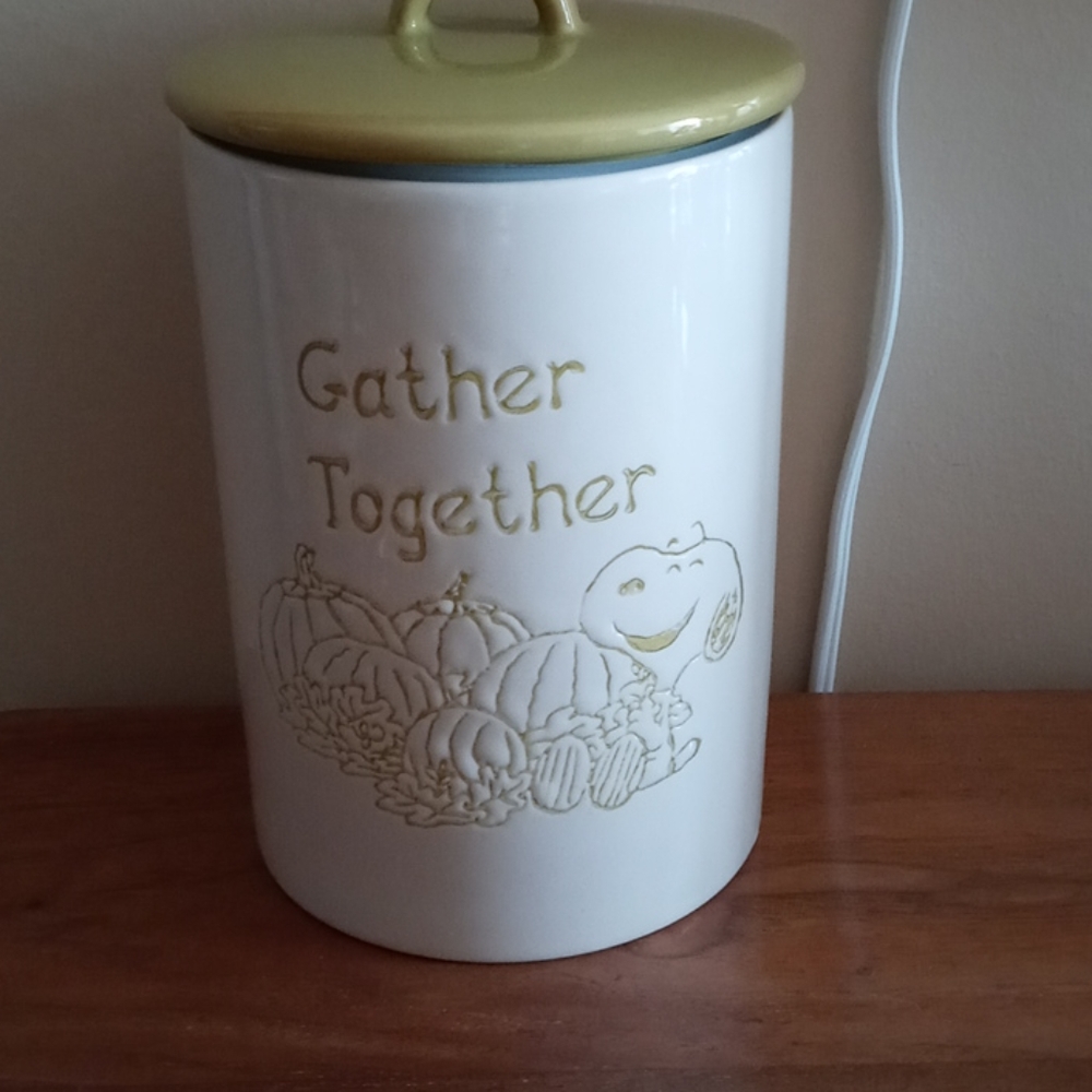Snoopy fall canister